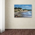 thumbnail image 3 of Trademark Fine Art 'Martha Vinyard' Canvas Art by Paul Walsh, 3 of 3