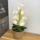 thumbnail image 4 of Shimmernest Lilyglow Flowers, Lily of The Valley Lamp, Crochet Artificial Flower, 4 of 4