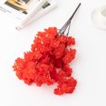 thumbnail image 4 of Ramo de flores de cerezo artificiales Cateissary 2 piezas Color rojo, 4 of 6