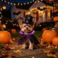 thumbnail image 4 of Aoznliie Dog Clothes, Halloween Pet Cloak with Hat for Party Apparel, 11x4 inch Adjustable Costume Set for Cats Dogs, Purple, 4 of 6