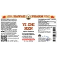 thumbnail image 2 of Yi Zhi Ren (Alpinia Oxyphylla) Dry Fruit Liquid Extract. Expertly Extracted by Trusted HawaiiPharm Brand. Absolutely Natural. Proudly made in USA. Tincture 32 Fl.Oz, 2 of 3