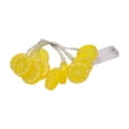 thumbnail image 2 of Yhmxh Home Decor, Room Decor, Wall Decor LED Lemon String Lights 1 Set Of 1.5 Meters 10 Lights Party Ambient Lights Birthday Decoration Fruit Shape Battery Operated Light String, 2 of 6