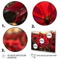 thumbnail image 3 of Designart "Red Poinsettias landscape III" Floral Floater Framed Canvas Art Print, 3 of 7