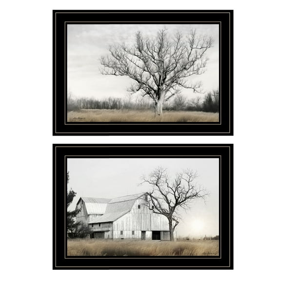"Ohio Fields I" Framed Wall Art for Living Room & Bedroom Decoration