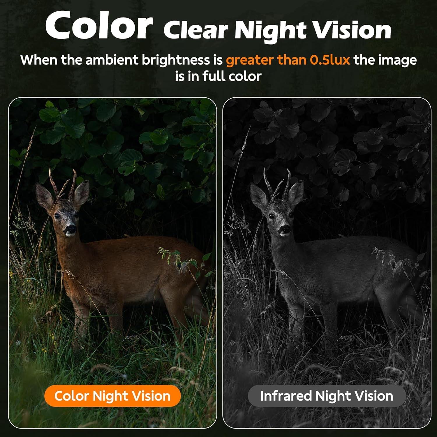 CAMPARK Cellular Trail Camera, Solar Powered Game Camera Built-in 4G LTE SIM&SD Card, No WiFi Required, 1080P Live Video, Blacklight Night Vision, IP66 Waterproof Hunting Camera, 0.1S Motion Activate