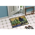 thumbnail image 4 of Carolines Treasures SS8196JMAT Poodle Doormat 24x36 36"L x 24"W multicolor, 4 of 4