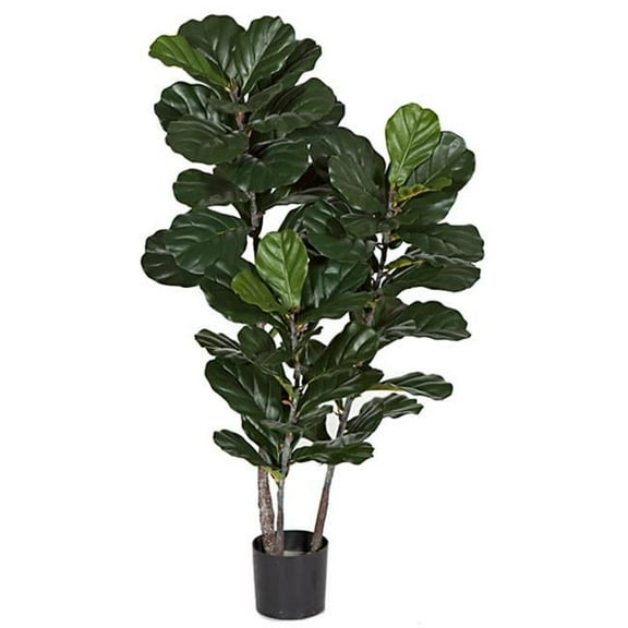 52 in. Fiddle Leaf Fig Tree, Tutone Green