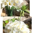 thumbnail image 3 of Ramos de alcatraces Matsuzay 20 unids/set no tóxicos para decoración de fiesta Rosa, 3 of 6