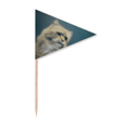 thumbnail image 1 of animal blue cat photograph  Toothpick Triangle Cupcake Toppers Flag, 1 of 3