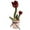 Wine, variant on IROINID Toys Games Kids,Christmas Decorations,Baby Toys Clearance,Novelty Gag Toys,Dancing Tulips Plush Toy Electronic with 60 Song Cute Dance Succulent Lovers Did with Learning to Speak Function