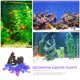 thumbnail image 3 of FENGGUIQU 10Ud De Artificial Para Acuario Con Plásticas Y Cueva Decorativa, 3 of 7
