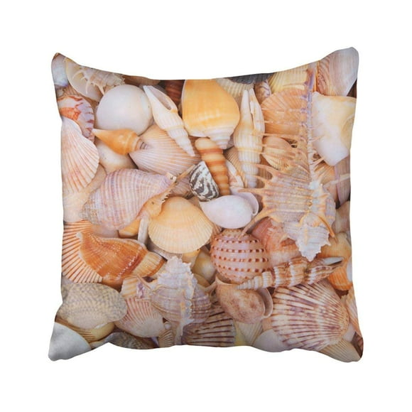 BSDHOME Brown Animal Seashell Lots Of Different Piled Together Colorful Beach Beautiful Cockle Pillowcase Cover 18x18 inch