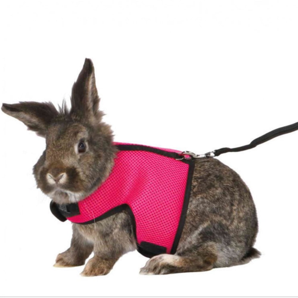 S/M/L Pet Rabbit Bunny Hamster Harness Animal Vest Mesh Harness With Leash 
