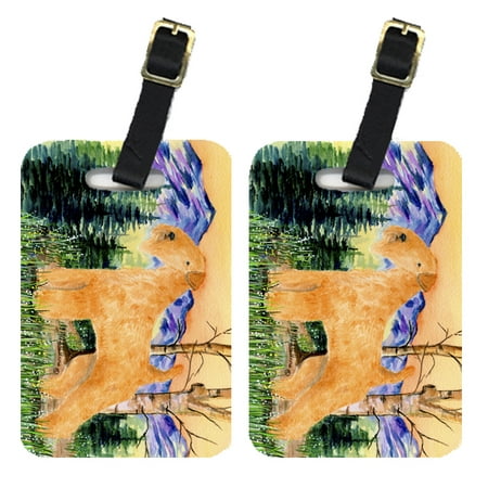 Pair of 2 Lakeland Terrier Luggage Tags