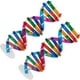 thumbnail image 5 of 2pcs modelos de ADN modelos de doble hélice componentes instrumento de enseñanza de ciencias, 5 of 5