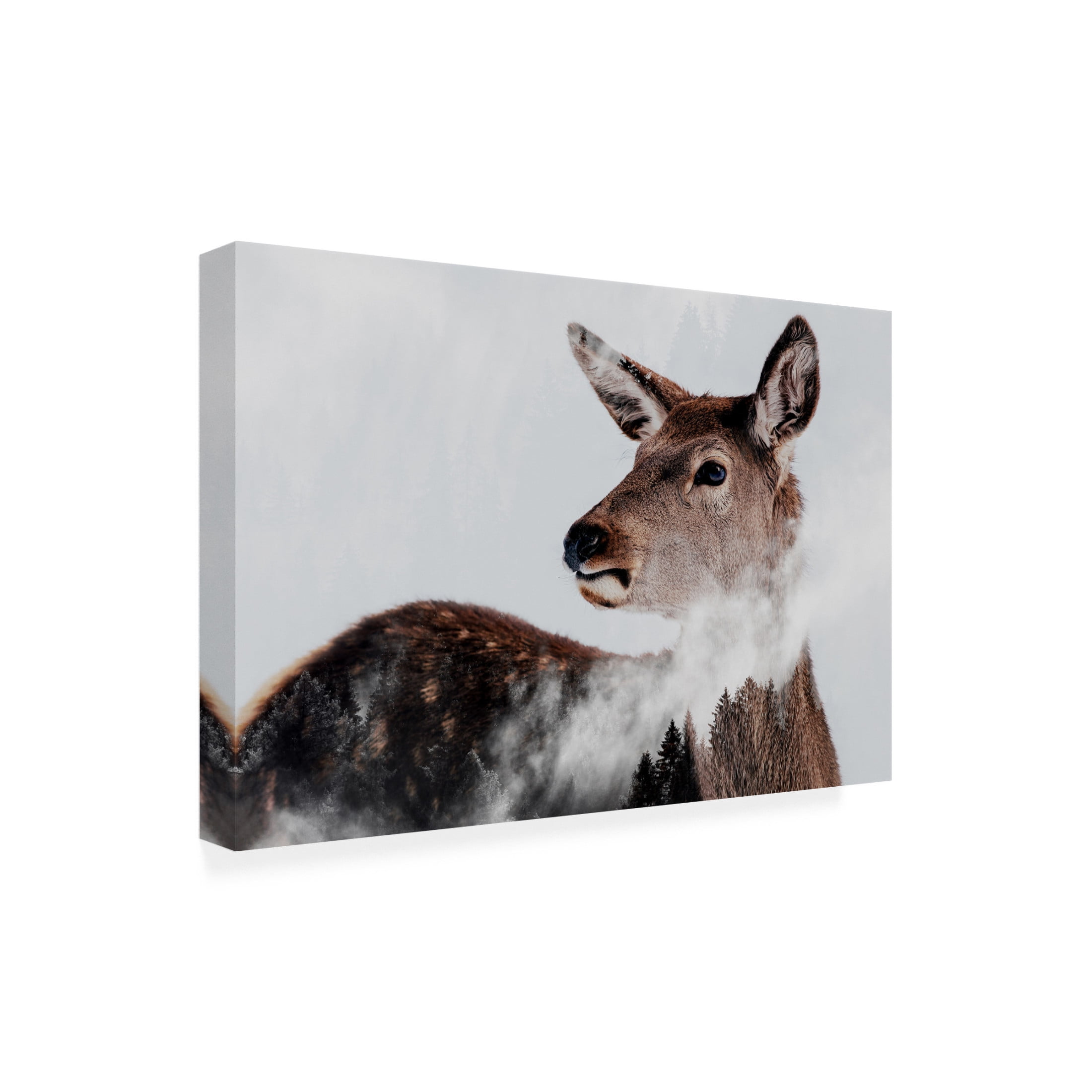 Canvas Wall Art - Angyalosi Beata 'Breathe' Wall Art for Living Room, Bedroom, or Office D?cor by Trademark Fine Art - 24 x 16 Inches