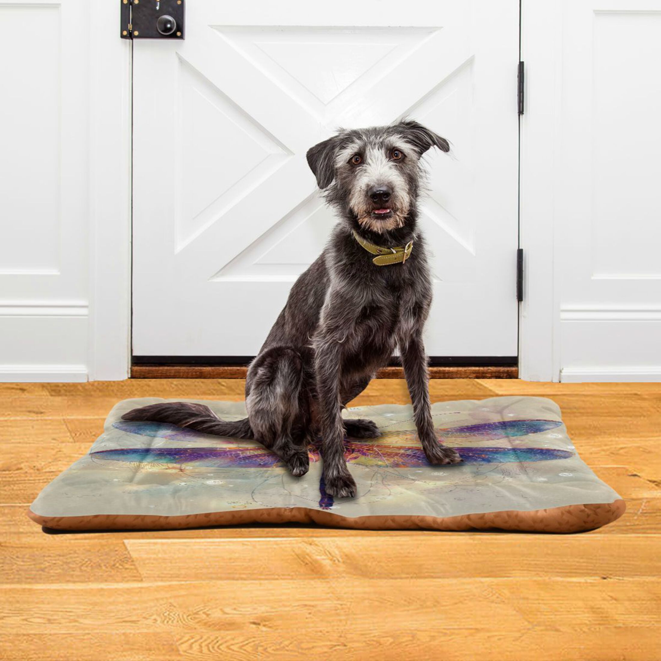 Qxltty Dreamy Dragonfly Ped Pad Wear-resistant and Hard to Bite Through Sleeping Pad for Small Medium Large Dogs Winter Pet Bed 36×24in