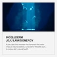 thumbnail image 5 of Riman Incellderm Dermatology First Package EX - Booster de 130 ml y Sérum de 45 ml | Set de Booster y Sérum Hidratante | Agua de Hoja Giant BYoungPool | De origen botánico y sin crueldad animal, 5 of 5