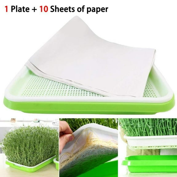 Sprouter Hydroponics Microgreens Sprouting Tray Germinator Easy Grow Cress Green
