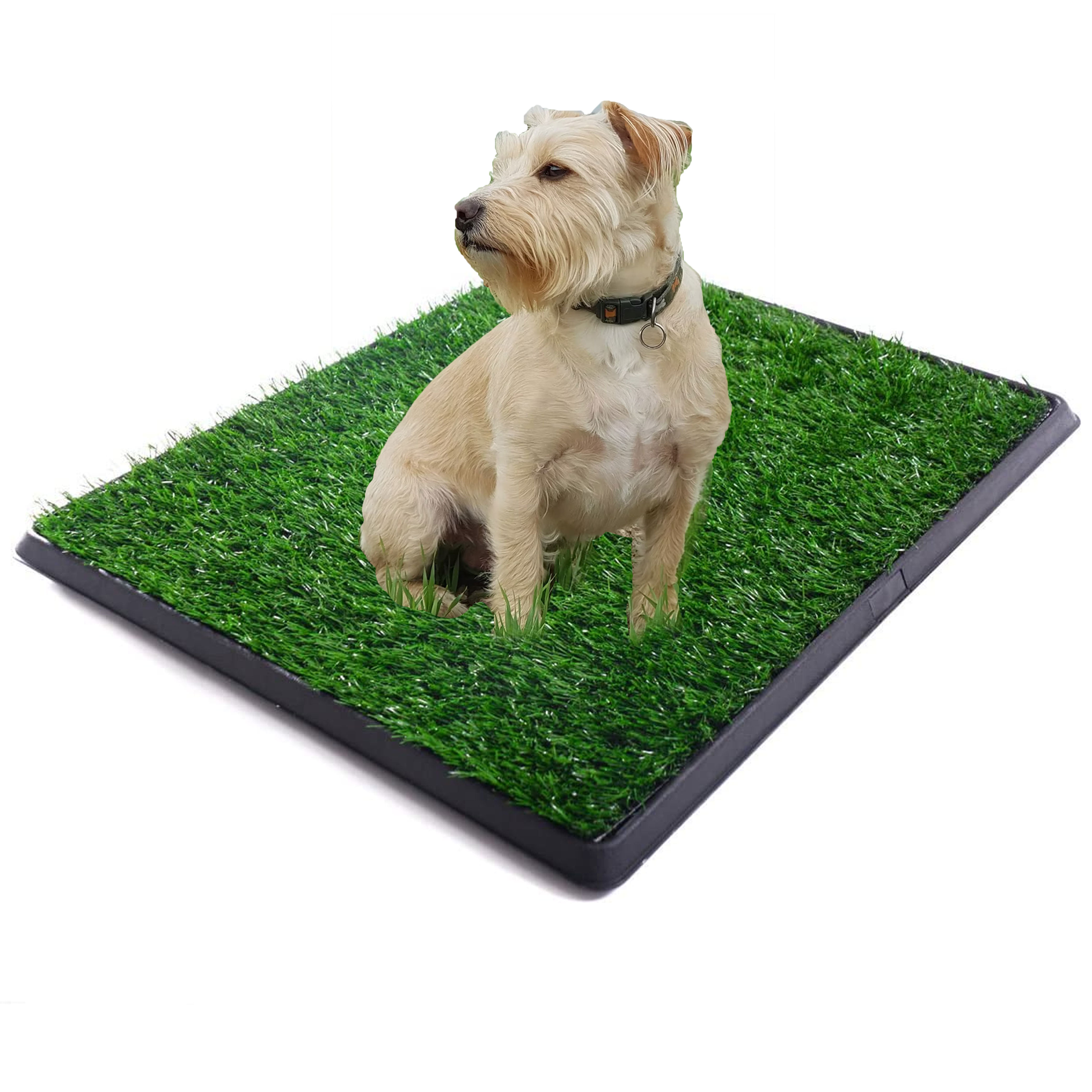 OlimP-Shop Dog Potty Home Training Toilet Pad Grass Surface Pet Park Mat Outdoor Indoor