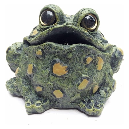 Drevy Croaking Toad Statue
