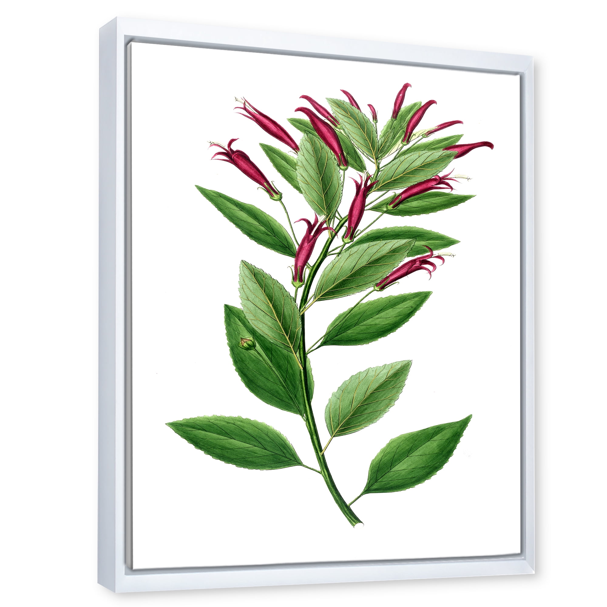 Designart 'Ancient American Flora V' Traditional Framed Canvas Wall Art Print