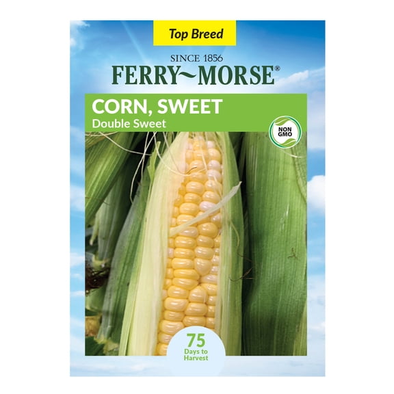 Ferry-Morse 6G Corn Double Sweet Annual Vegetable Seeds, Full Sun