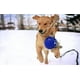 thumbnail image 3 of Juguete para Perro Jolly Pets Azul Cuerda con Pelota 6 Pulgadas Mediano, 3 of 3