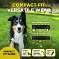 thumbnail image 4 of Collar electrónico de entrenamiento remoto Dogtra 200iQ 100 niveles para perros, 4 of 9