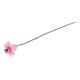 thumbnail image 3 of Accesorios de decoración para hogar de de flor rosa 1:12, 3 of 7
