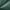 45 - FOREST GREEN, variant on Nestl Split King Bed Sheets  Set for Adjustable Beds, 5 Piece 1800 Series Deep Pocket Sheets, Luxury Soft Microfiber Bed Sheet Sets, CHARCOAL STONE GRAY