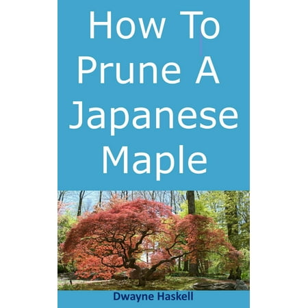 How To Prune A Japanese Maple - eBook (Best Time To Prune Japanese Maple)