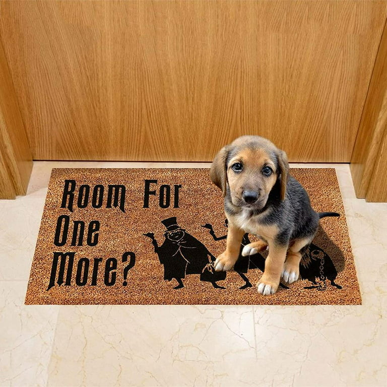  Outdoor Door Mats for Outside Entry Dog Lover's Gift