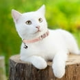 thumbnail image 3 of Minzimin 4 Pcs Rhinestone Cat Collar Heart Bling Breakaway Girl Cat Soft Velvet Fancy Adjustable Safety Kitten Collar with Bell for Kitty(Pink, Purple), 3 of 7