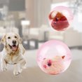 thumbnail image 2 of Lubelski Rolling Ball Toy Cute Cartoon Rabbit Hamster Squirrel Built-in Translucent Ball Exercise Training Interactive Toy Kids Electric Ball Cat Teaser Toy Pet Supplies, 2 of 8