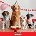 thumbnail image 4 of Milk Bone Extra Large Dipped CELEBRATE! Dog Biscuit, 2.9 oz Pouch, 4 of 10