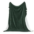 thumbnail image 5 of Ridge & Cove Ribbed Plush Sherpa Reversible Throw Blanket (King, Forest Green), 5 of 6