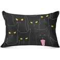 thumbnail image 3 of GZHJMY Black Cat Queen Pillowcase Super Soft Cozy Plush Pillow Case with Zipper for Sofa Bed Couch, 20 x 30 Inch, 3 of 7