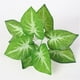 thumbnail image 4 of s artificiales Árbol Epipremnum Aureum s artificiales árbol Vegetación , Mini artificial Bonsai Adornos de es perfecl Hojas de taro artificial, 4 of 8