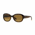 thumbnail image 1 of Gafas de sol para mujer Ray-Ban RB4198-710 / 85 Tortoise Oval Brown Lens Ray-Ban RB4198-710/85, 1 of 1
