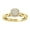 10K Yellow Gold, variant on Araiya Fine Jewelry Sterling Silver Round-shape Diamond Cluster Ring (1/5 Cttw, I-J Color, I2-I3 Clarity) Size 10