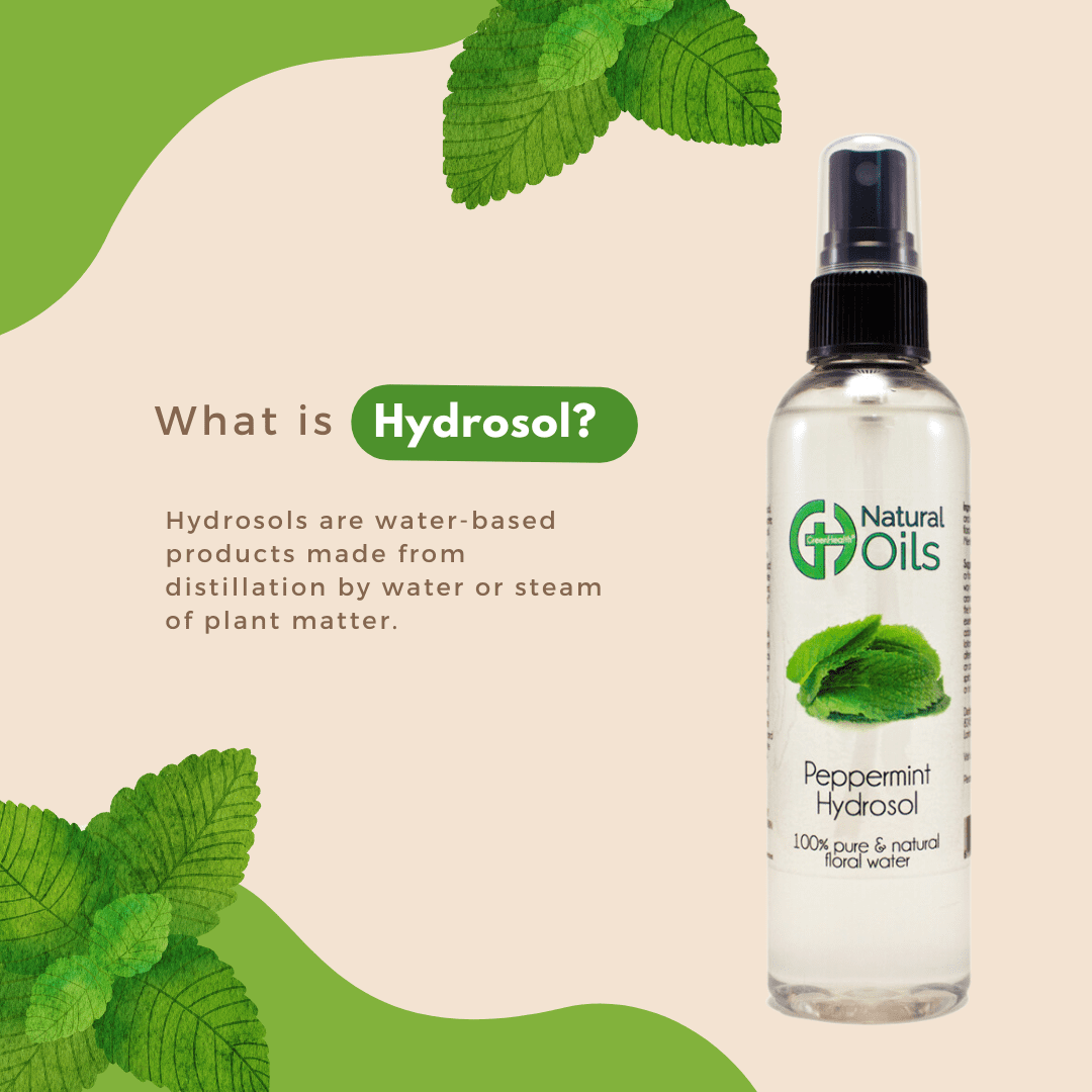 Peppermint Hydrosol (Floral Water) - 32 fl oz - White Plastic Jug w/ Cap Therapeutical - GreenHealth