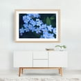 thumbnail image 5 of Myosotis. Forget me not blue flowers. - Photography Flowers Floral Botanical Nature Garden Summer Pastel Oak Framed Wall Art Print 24 x 36 inches, 5 of 6