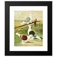 thumbnail image 2 of Gustav Prütz 12x14 Black Modern Framed Museum Art Print Titled - C. Clypeata (1884-1886), 2 of 5