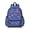 Blue Cartoon Dinosaurs Landscape Pattern, variant on Black Colorful Dinosaurs Pattern Cute School Backpack with Padded Back and Adjustable Shoulder Straps 13.4"x11"x4.7"