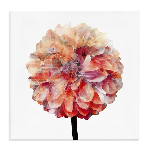 Stupell Industries Contemporary Bright Coral Watercolor Bloom Canvas Art, 17 x 17, by Kim Allen