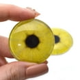 thumbnail image 4 of Lemon Slice Yellow Glass Eyes, 4 of 11