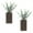 Brown, variant on 2 Pack Wood Wall Planter Vase with Artificial Eucalyptus Farmhouse Wall Hanging Decor Pocket Planter for Indoor Fake Plants Greenery Flowers, Livingroom Bedroom Kitchen Home Office Decoration, Brown