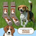 thumbnail image 5 of Men's Beware of Dog Beagle Crew Socks, 5 of 5