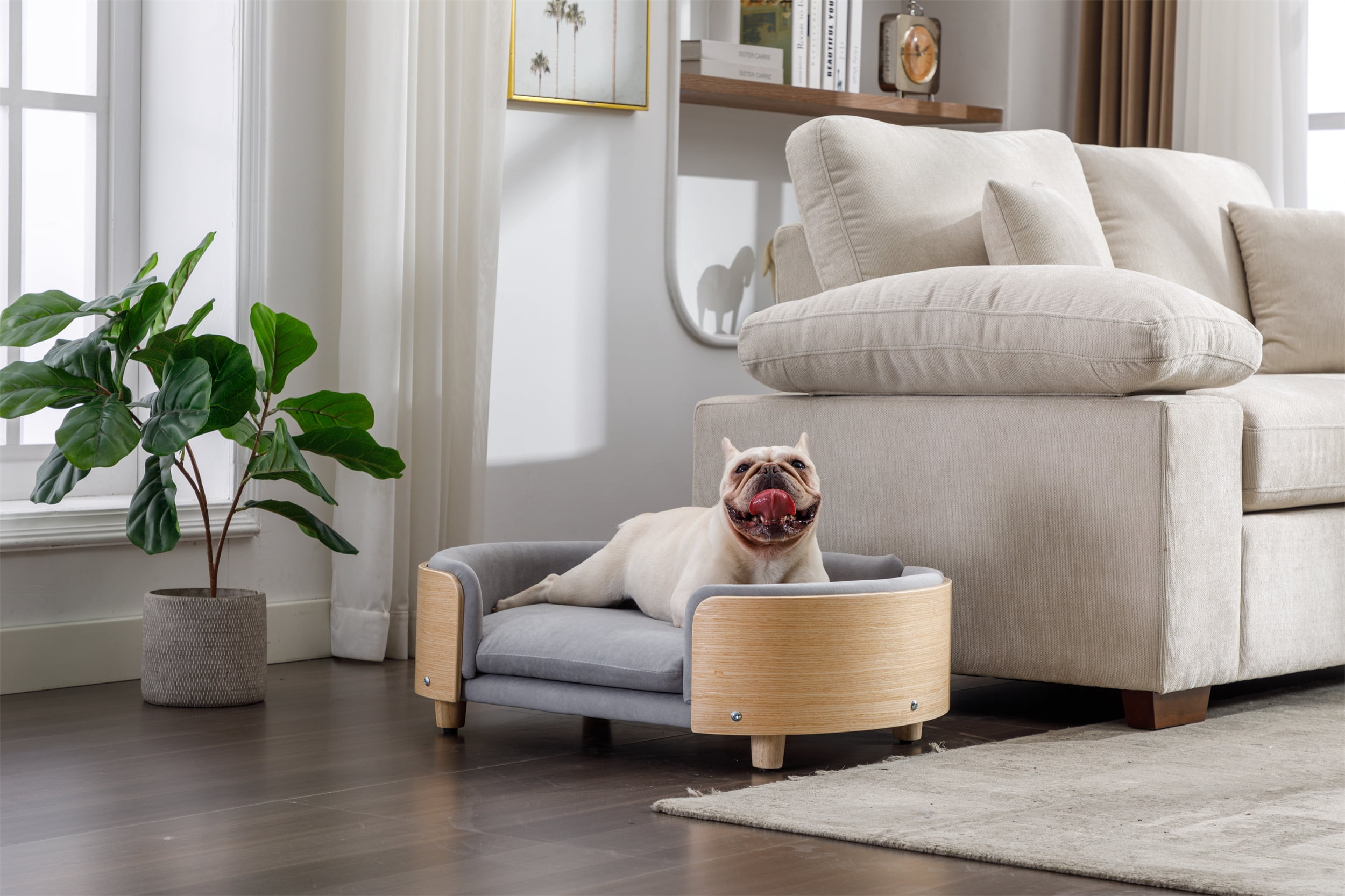 Elevated Dog Bed Pet Sofa with Solid Wood Legs & Bent Wood Back, Velvet Cushion, Mid Size Light Grey